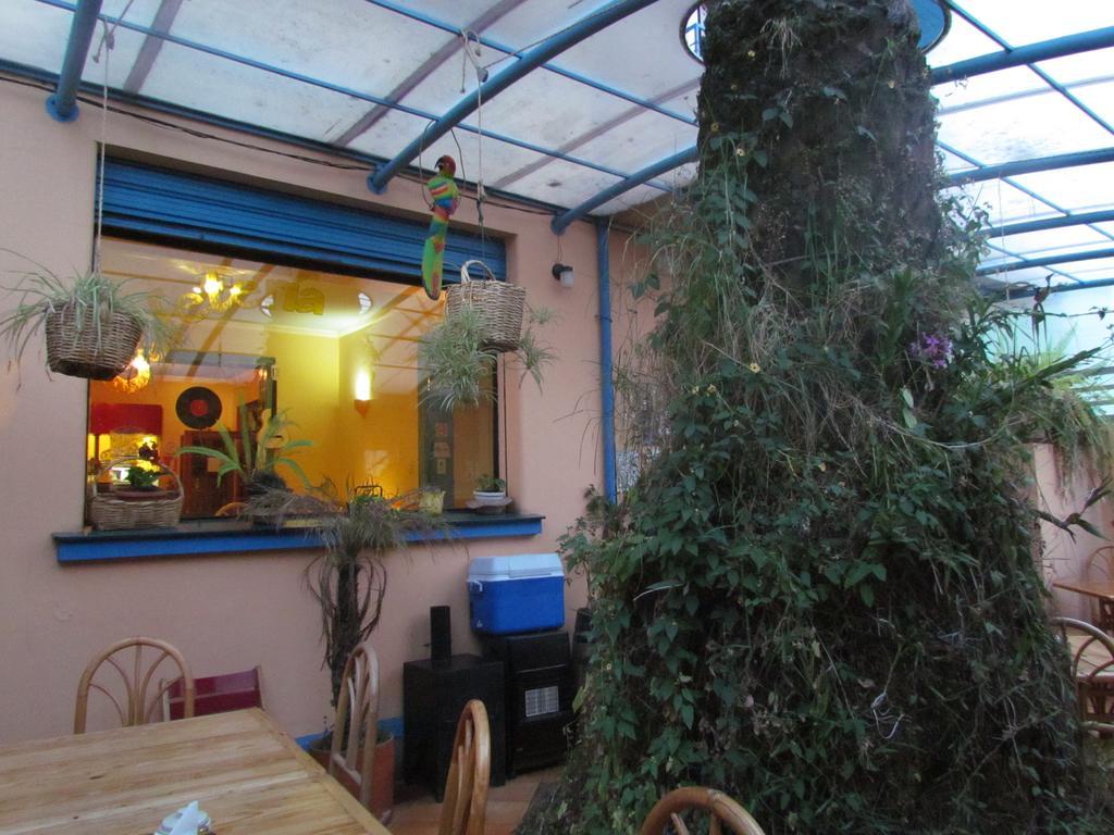 基多 Casa Helbling酒店 外观 照片